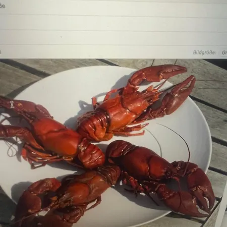 Wiesentflair Prázdninový dům *
